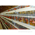 Broiler battery cage